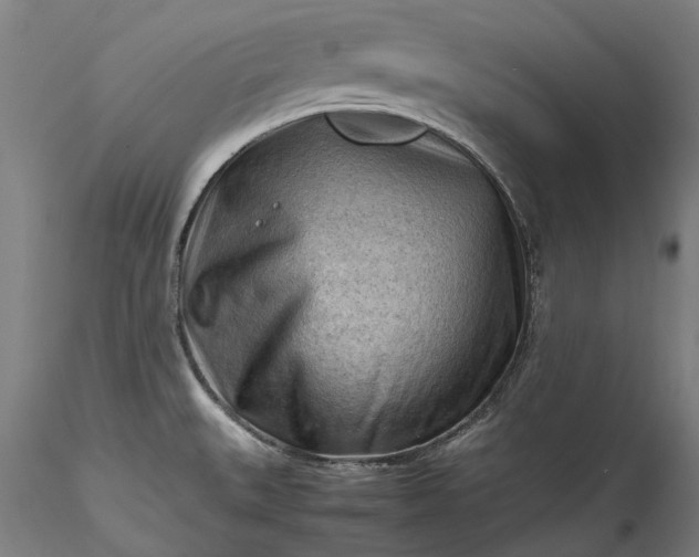 X0000115801527200911271238