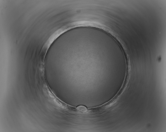 X0000115801529200911271239