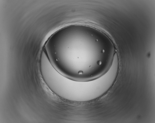 X0000115801530200911271239