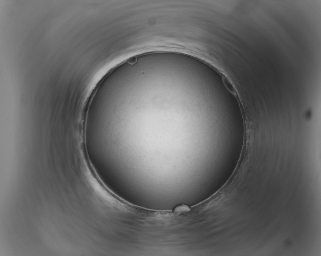 X0000115801531200911271239