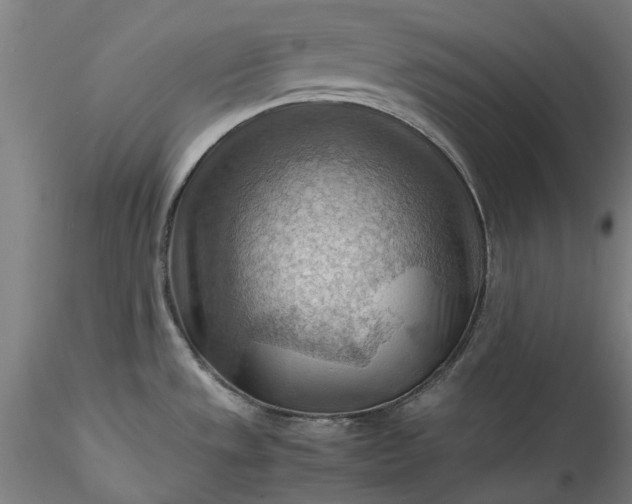 X0000115801533200911271239