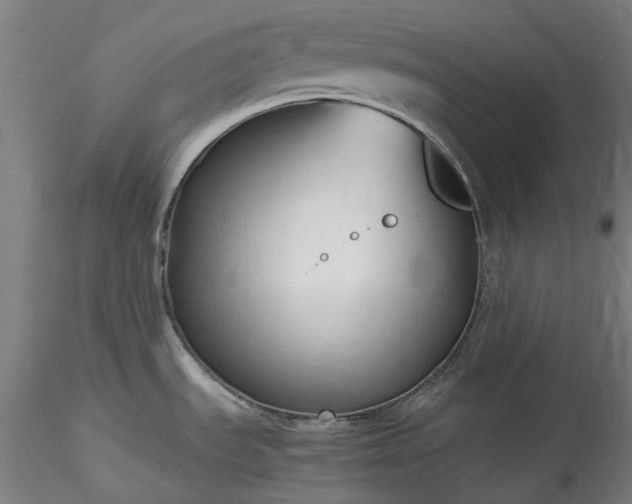 X0000115801535200911271239