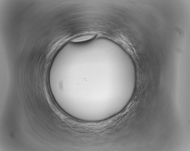 X0000115800001200912041543