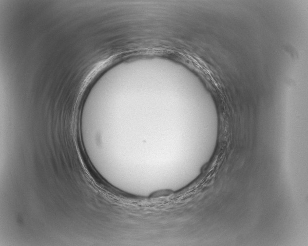 X0000115800003200912041543