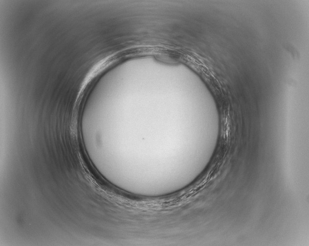 X0000115800004200912041543