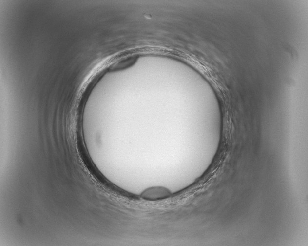 X0000115800007200912041543