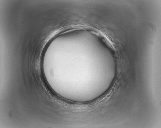 X0000115800008200912041543