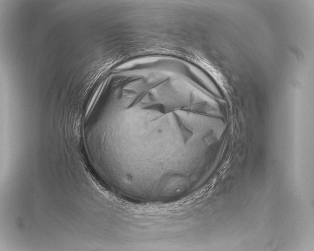 X0000115800009200912041543