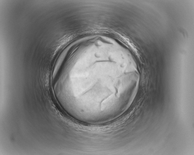 X0000115800010200912041543