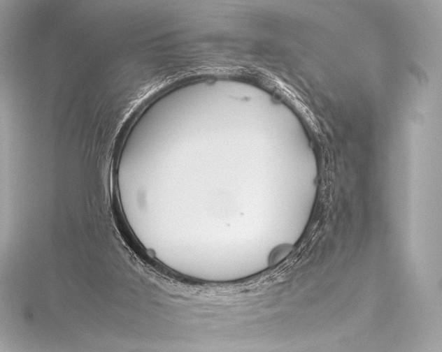 X0000115800011200912041543