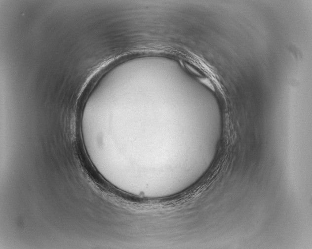 X0000115800012200912041543