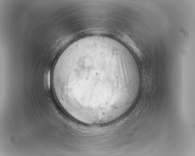 X0000115800014200912041543