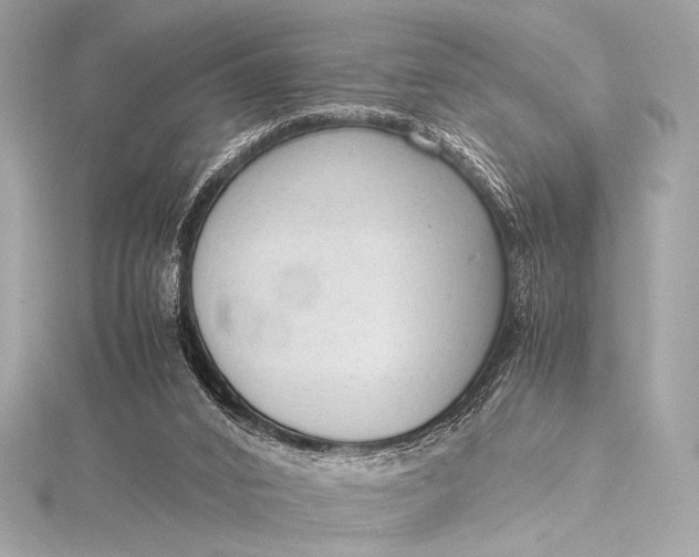 X0000115800016200912041543