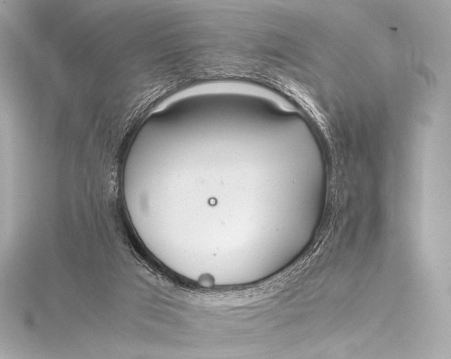 X0000115800017200912041543