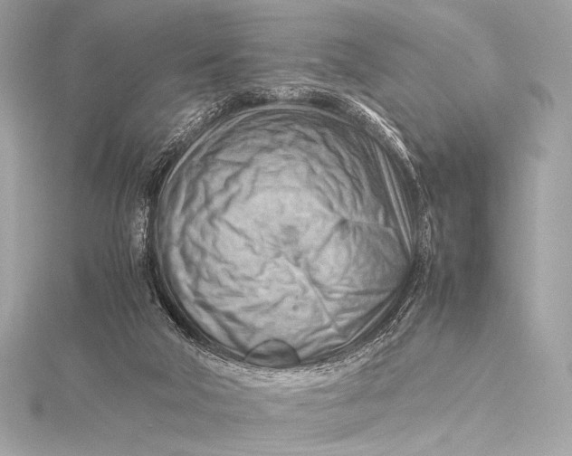 X0000115800018200912041543