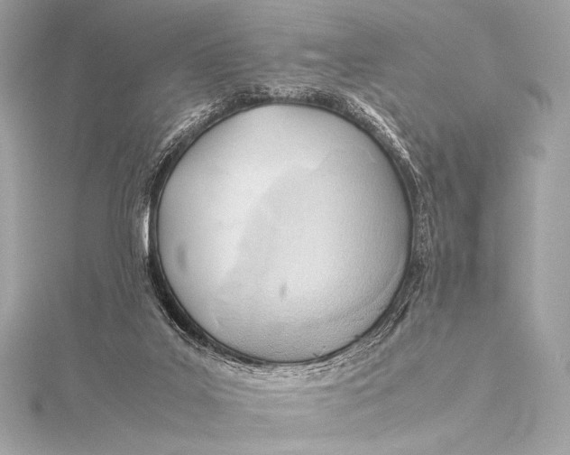 X0000115800019200912041543