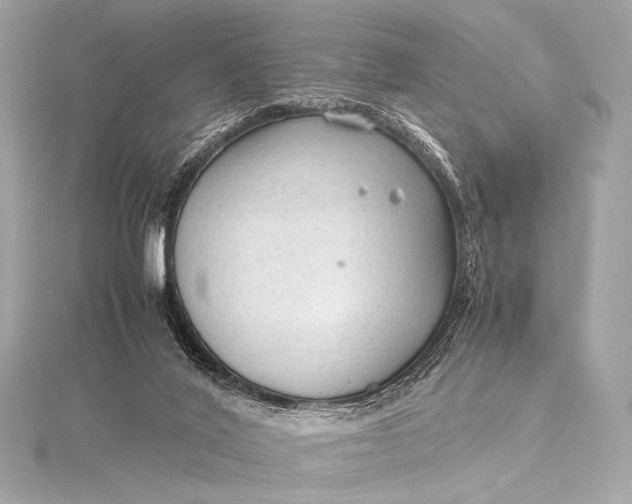 X0000115800020200912041543