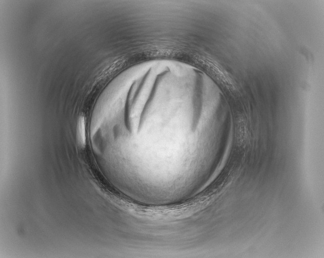 X0000115800022200912041543