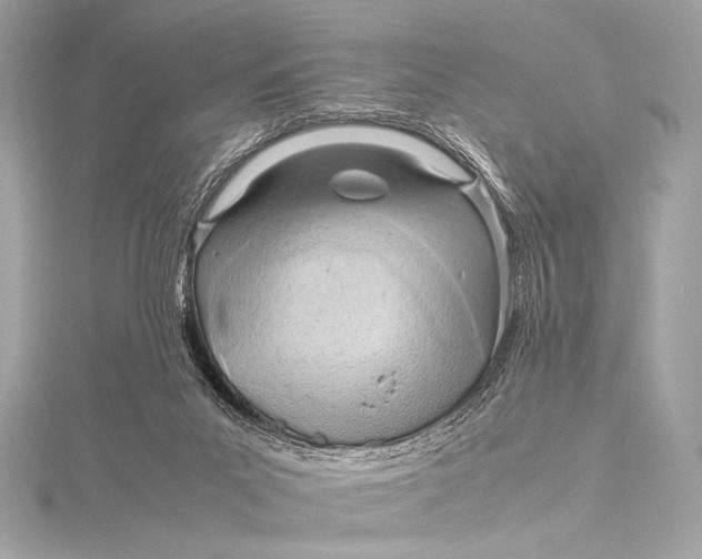 X0000115800023200912041543