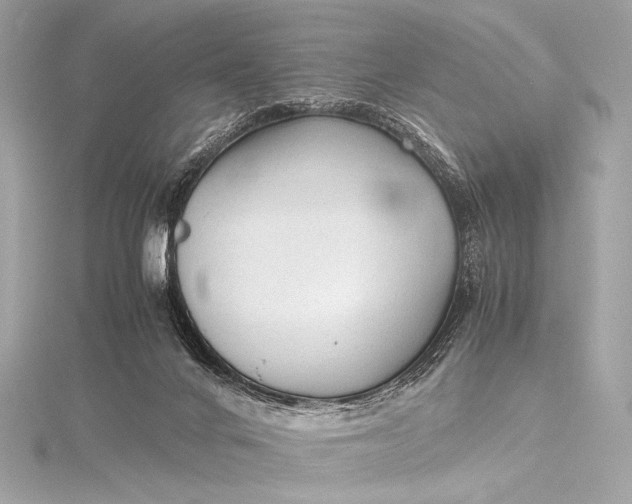 X0000115800024200912041543