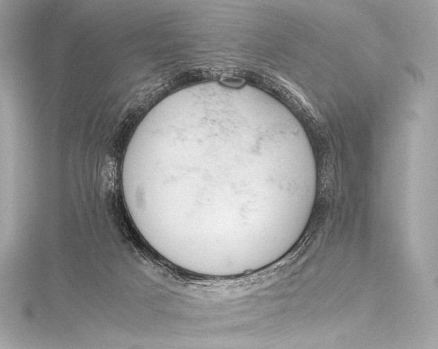 X0000115800025200912041543