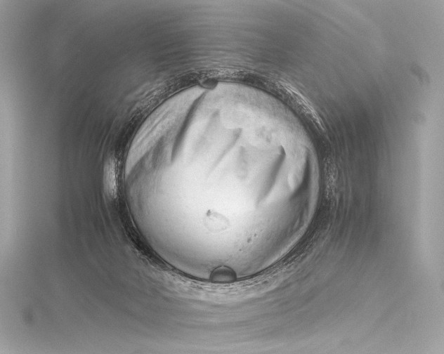 X0000115800026200912041543