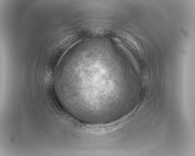 X0000115800029200912041543