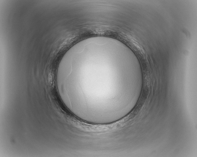 X0000115800031200912041543