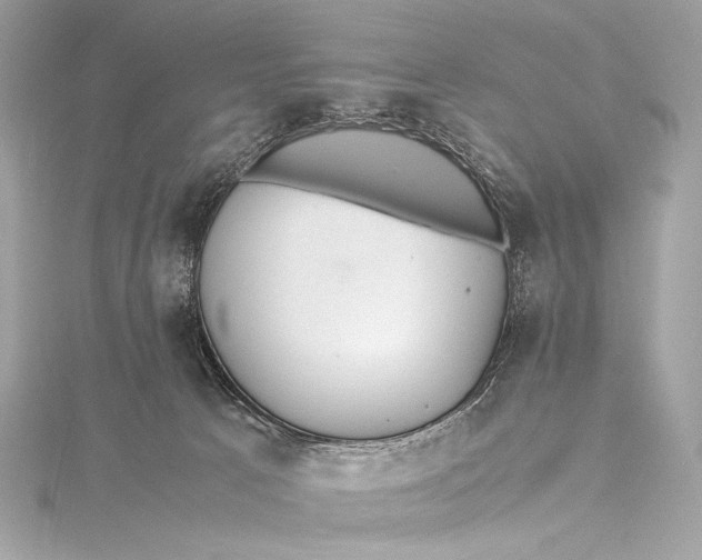 X0000115800033200912041542