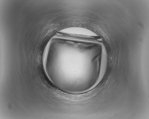 X0000115800035200912041542