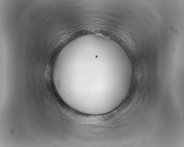 X0000115800036200912041542