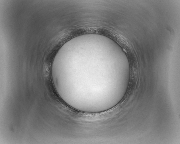 X0000115800037200912041542