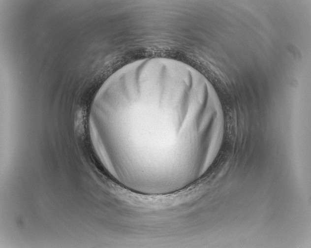 X0000115800038200912041542