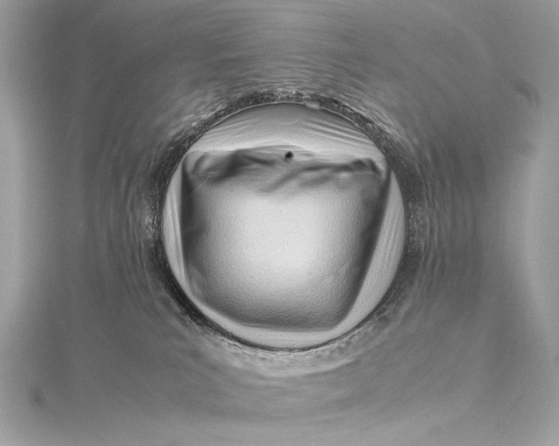 X0000115800039200912041542