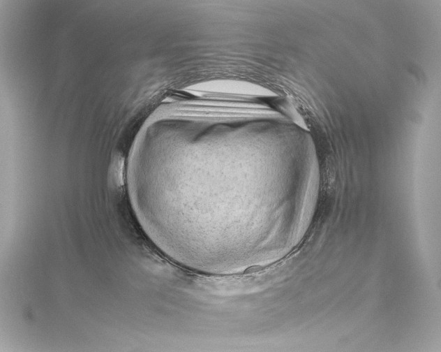 X0000115800041200912041542