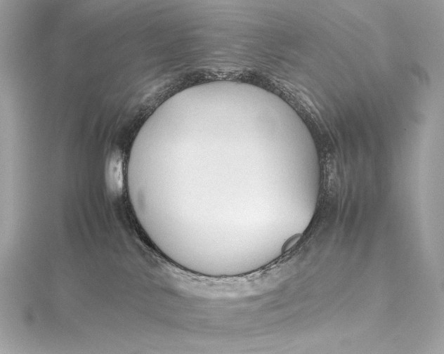 X0000115800042200912041542