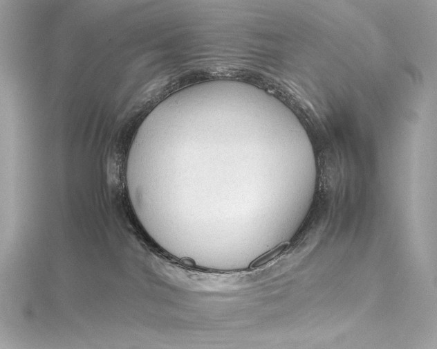 X0000115800044200912041542