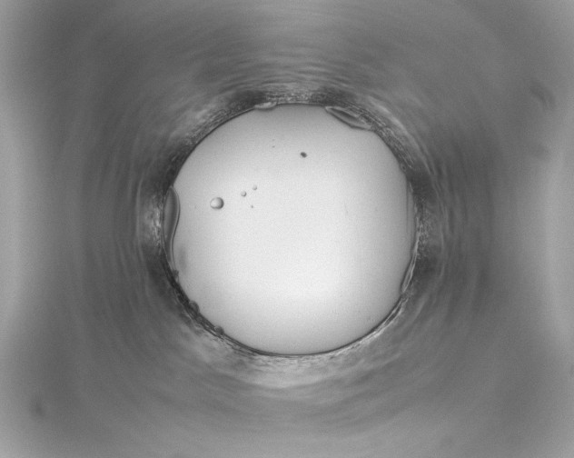 X0000115800045200912041542