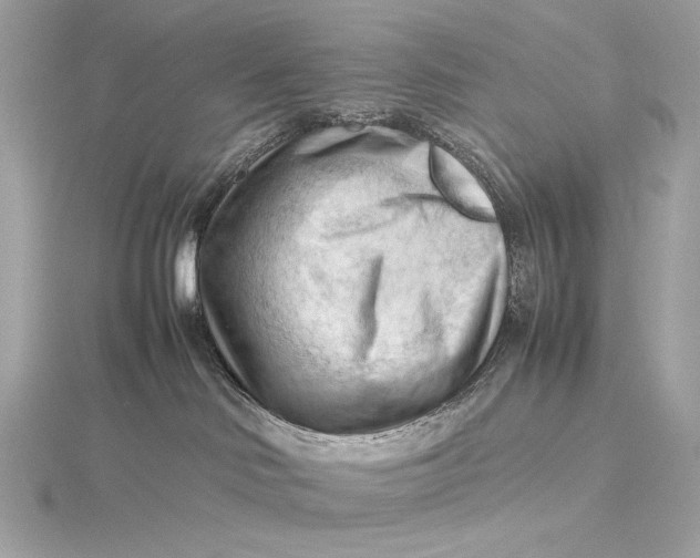 X0000115800046200912041542