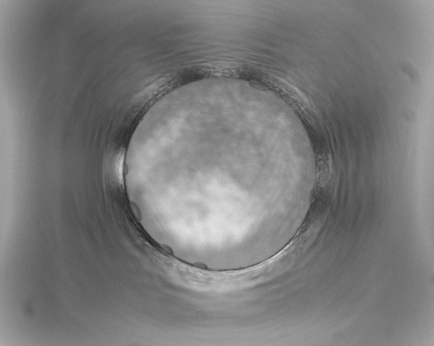 X0000115800047200912041542