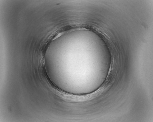 X0000115800048200912041542