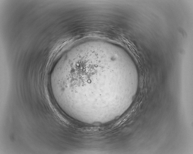 X0000115800049200912041542