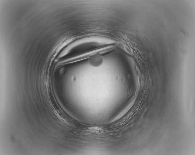 X0000115800050200912041542