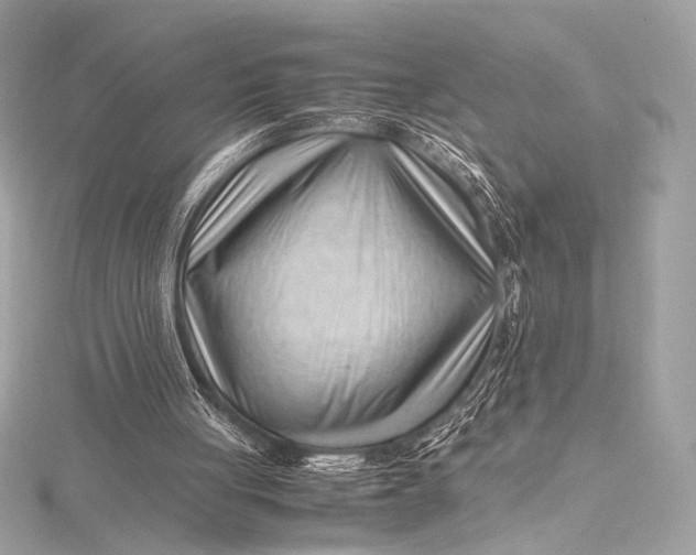 X0000115800051200912041542