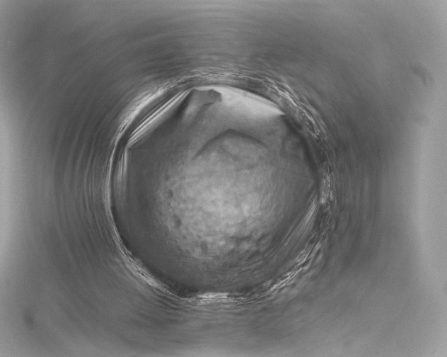 X0000115800052200912041542