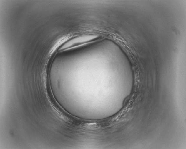 X0000115800054200912041542