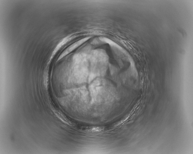 X0000115800056200912041542