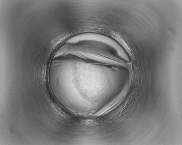 X0000115800058200912041542