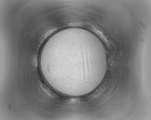 X0000115800060200912041542