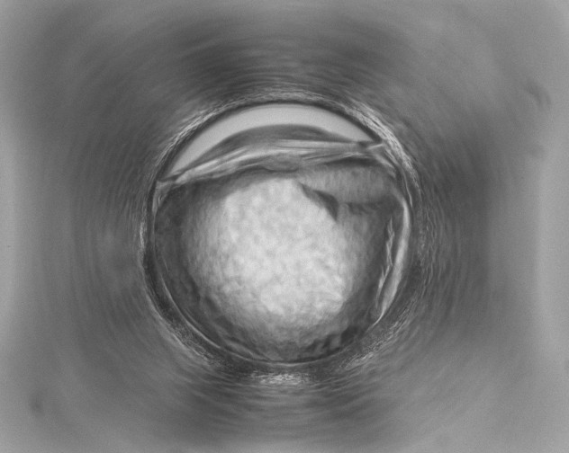 X0000115800063200912041542